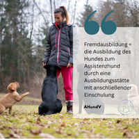 Fremdausbildung eines Hundes zum Assistenzhund