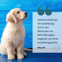 Selbstausbildung des Hundes zum Assistenzhund