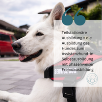 Teilstationäre Ausbildung eines Hundes zum Assistenzhund